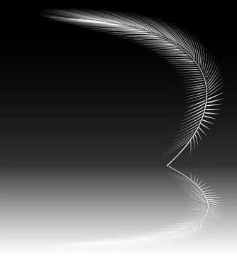 Reflecting feather Stock Illustration