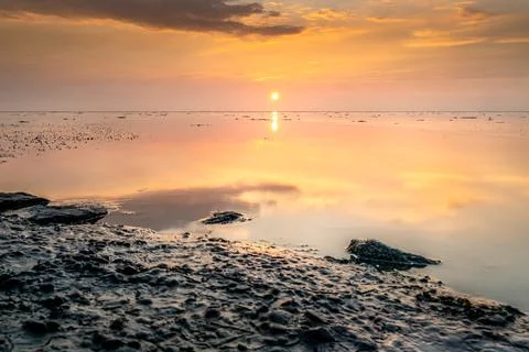 Reflecting mudflats all twilight with setting sun Stock Photos