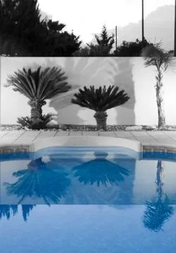 Reflecting on palms Stock Photos