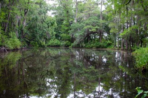 Reflecting Stock Photos