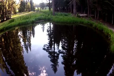 Reflecting Pond Flyover Stock Footage 11452395