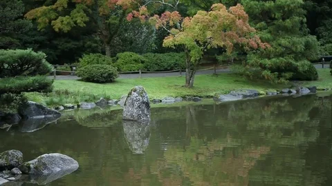 Reflecting pond Stock Footage 77258679