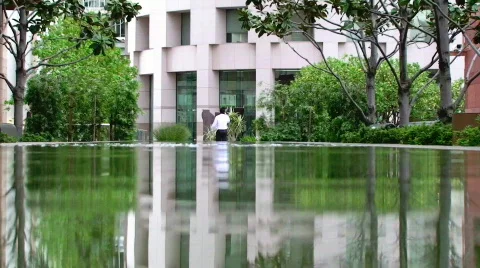 Reflecting Pool Stock Footage 376906