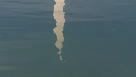The reflecting pool reflection of the na... | Stock Video | Pond5