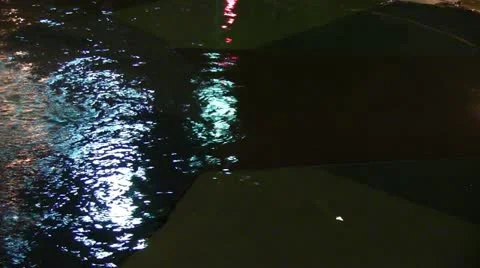 Reflecting Puddle Video stock 12169261