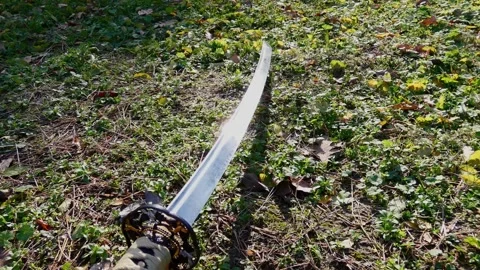 Reflecting a ray from a katana Stock Footage 293161866