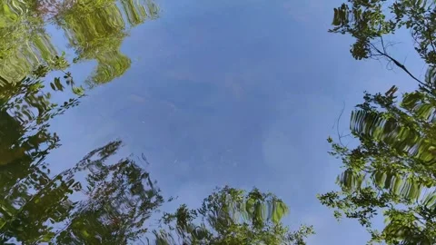 Reflecting trees and blue sky on water surface. 動画素材 334759455
