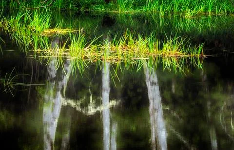 Reflecting Waters Stock-Fotos