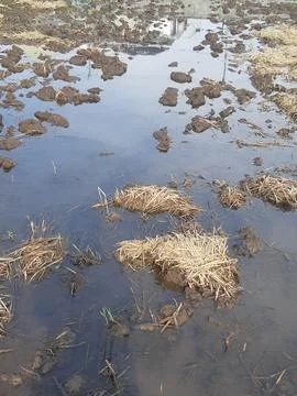 Reflection 2 스톡 사진