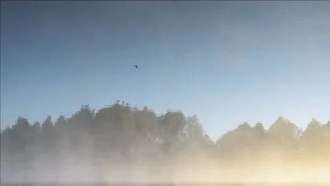 Reflection 3 스톡 동영상 156637450