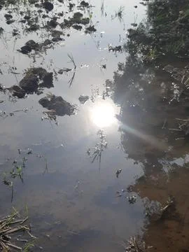 Reflection 3 스톡 사진