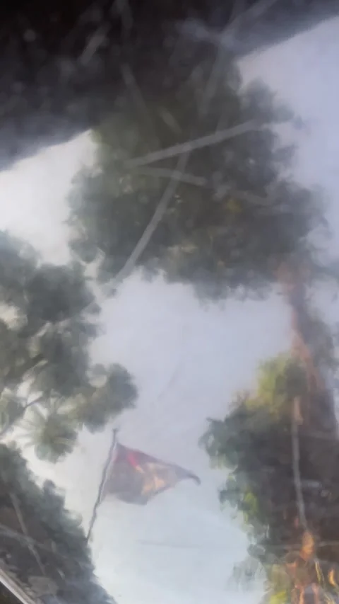 Reflection of aflag waving with trees and blue sky on a glossy floor surface. Stock Footage 343834308