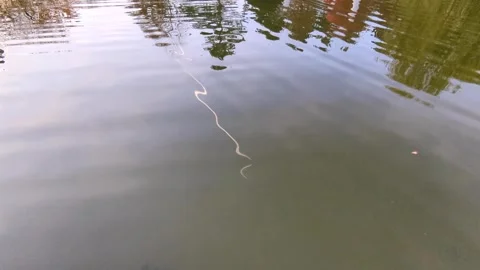 Reflection of an airplane trace across the sky mirrored in a calm autumn lake. Stock Footage 320827173