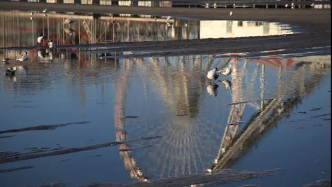 Reflection Amusement Park and seagulls Stock Footage 243650029