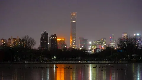 Reflection and ducks on the ice in Beijing CBD at night Stock Footage 228851871