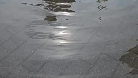 Reflection and glare on the water in the puddle. Summer day Stock Footage 248969453