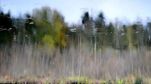 Reflection and rain Stock Footage 142298203