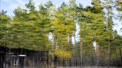 Reflection and rain Stock Footage 142298694