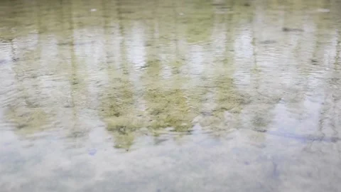 Reflection and rain Stock Footage 142298738