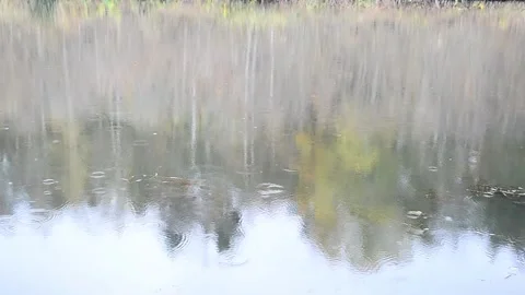 Reflection and rain Stock Footage 142298887