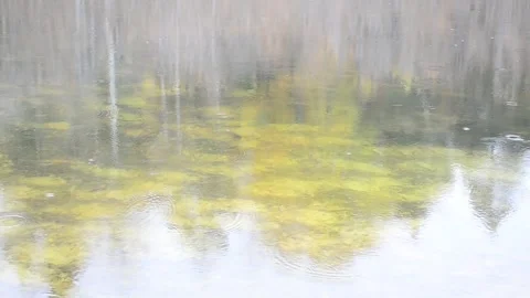 Reflection and rain Stock Footage 142299032