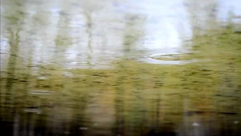Reflection and rain Stock Footage 142299558
