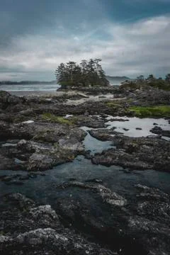 Reflection and rocks on the edge of the ocean Stock Photos