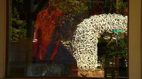 Reflection of Antler Arch in Window Stock Footage 35303813