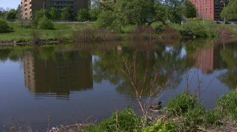 Reflection of apartment buildings in river Stock Footage 665846