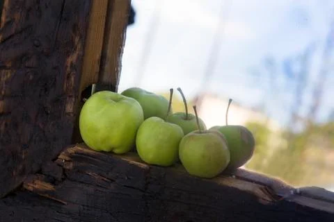 Reflection of apples in a mirror Autumn Stock Photos