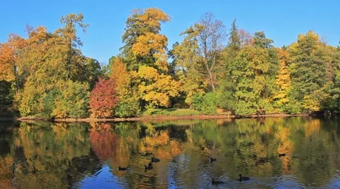 Reflection of autumn Stock Footage 1056009