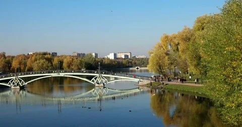 Reflection of autumn Stock Footage 96685123