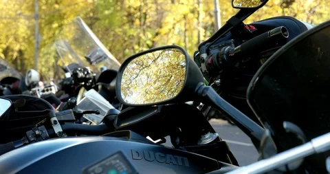 Reflection of autumn Video stock 97436902