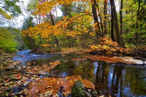 Reflection of the autumn leaf colour in the river Stock Photos