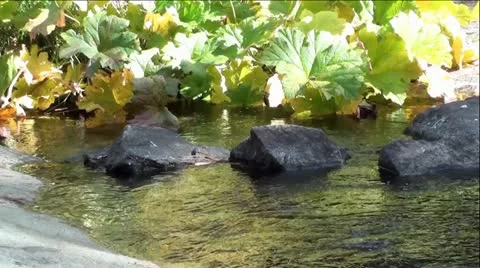 Reflection of Autumn Sun on Beautiful Mountian Creek Stock Footage 12372903