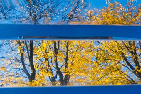 Reflection of autumn trees Stock Photos