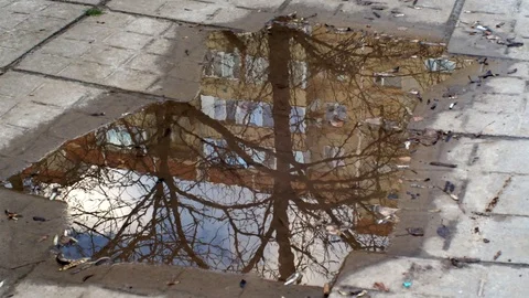 Reflection of bare autumn trees and a house in a puddle on road after rain Stock Footage 126897729