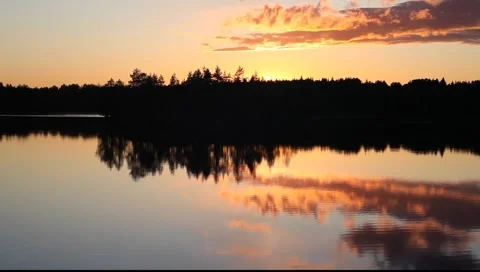 Reflection of beautiful sunset in forest lake with bird's songs Stock Footage 1217633