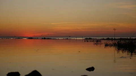 Reflection of beautiful sunset in the sea and flying birds in the background Video stock 182907550