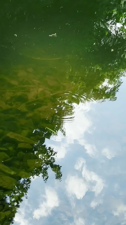 Reflection of blue sky and clouds in lake water. Vertical video. Stock Footage 285155998