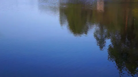 Reflection of blue sky and trees in a forest lake. Stock-Footage 37248450