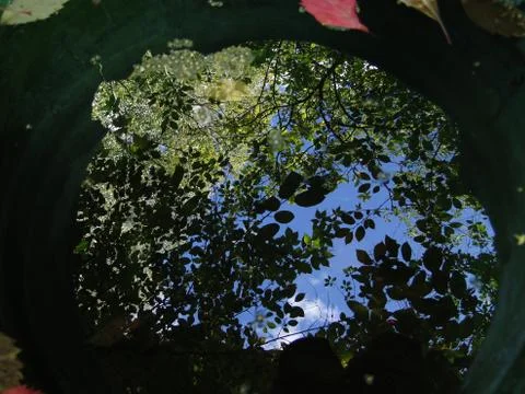 Reflection of blue sky with cloud in water Stock Photos