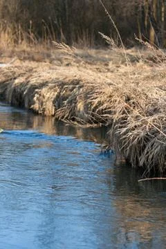 Reflection of a blue sky in a creek with thawed water in the spring April for Stock Photos