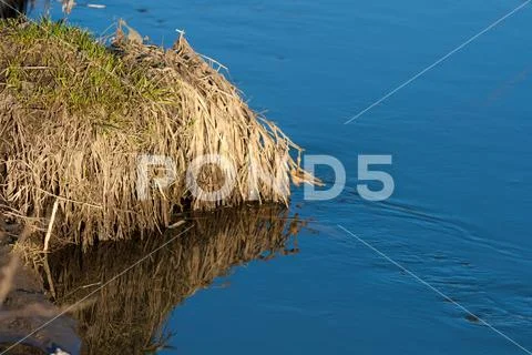 Reflection of a blue sky in a creek with thawed water in the spring April for Stock Photos