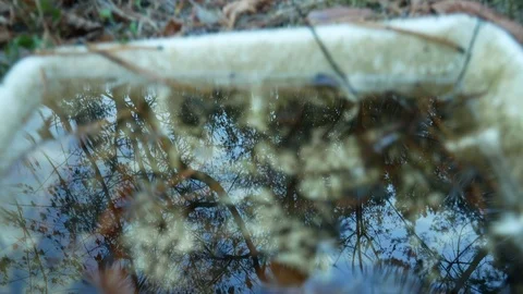 Reflection of blue sky in water changes to view of garbage dump in forest Stock Footage 120256178