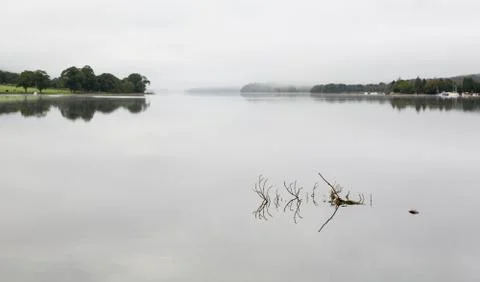 Reflection of branch in coniston water Stock Photos