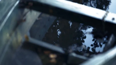 Reflection of branch leaves from a tree on the sink old fishing boat Stock-Footage 94114568
