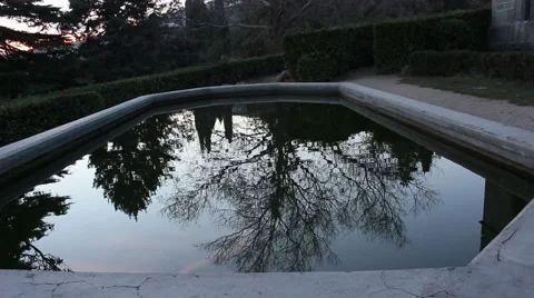 Reflection Of The Branch In The Pond Vídeo Stock 46571382