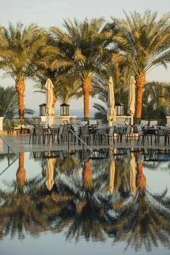 Reflection of branches of palm trees in the pool in a tropical country. Stock Photos