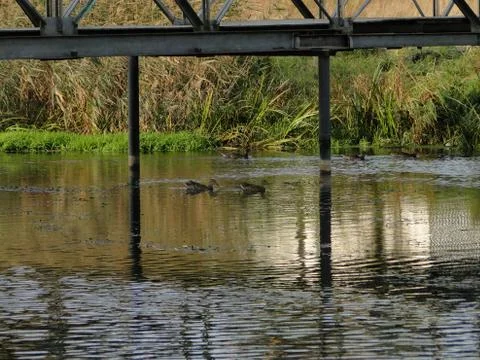 Reflection of the bridge on the surface of the water with ripples on it Stock Photos